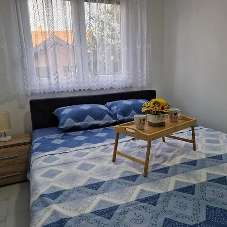 Andela&aleksa Banja Koviljača