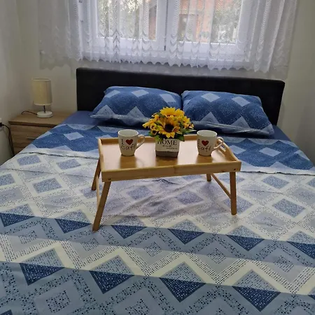 Andela&aleksa Banja Koviljača