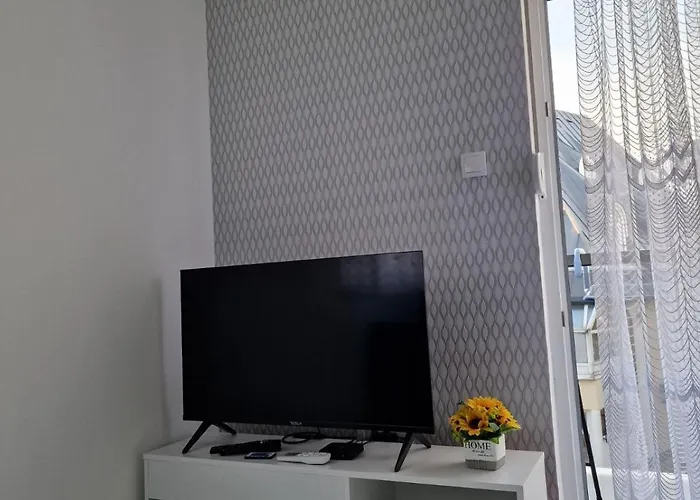 公寓 Andela&aleksa Banja Koviljača