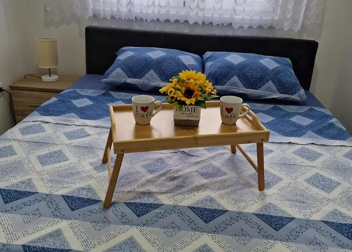 Andela&aleksa Banja Koviljača