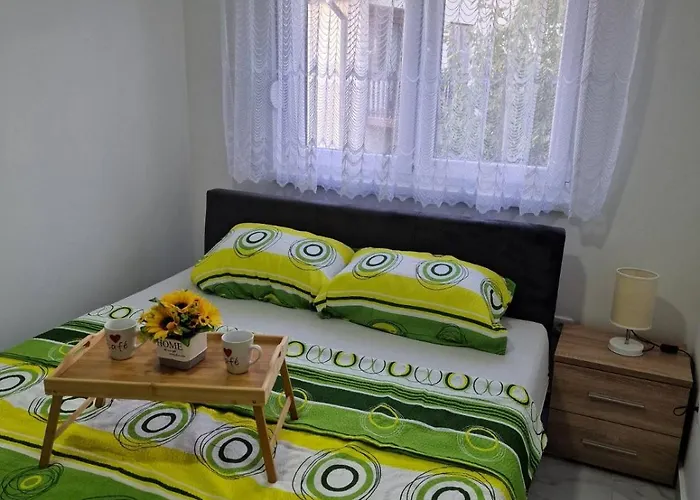 Andela&aleksa 公寓 Banja Koviljača